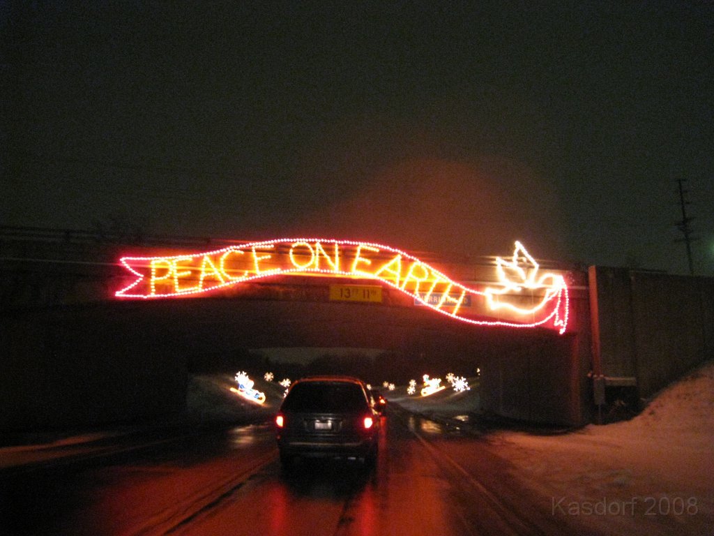 Christmas Lights Hines Drive 2008 028.jpg - The 2008 Wayne County Hines Drive Christmas Light Display. 4.5 miles of Christmas Light Displays and lots of animation!